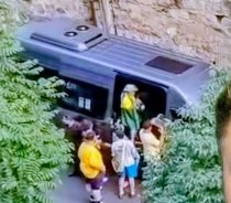 Protesto na Avenida Paulista reúne jaboticabalenses neste domingo